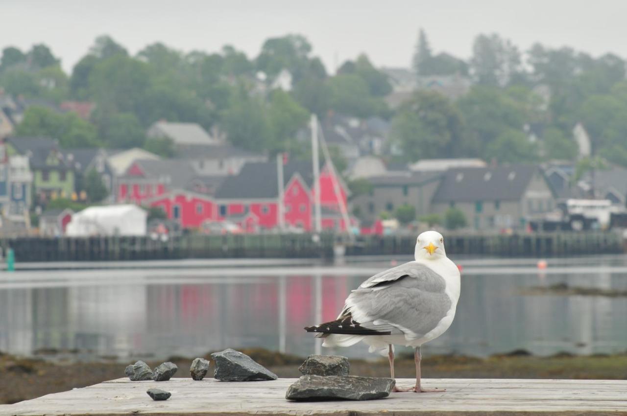 Smugglers Cove Inn Lunenburg Exteriér fotografie