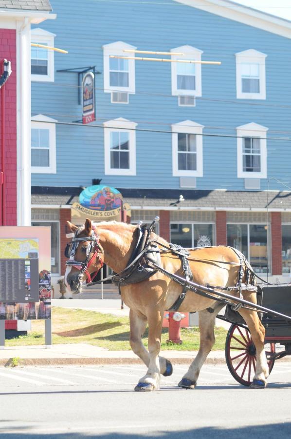 Smugglers Cove Inn Lunenburg Exteriér fotografie
