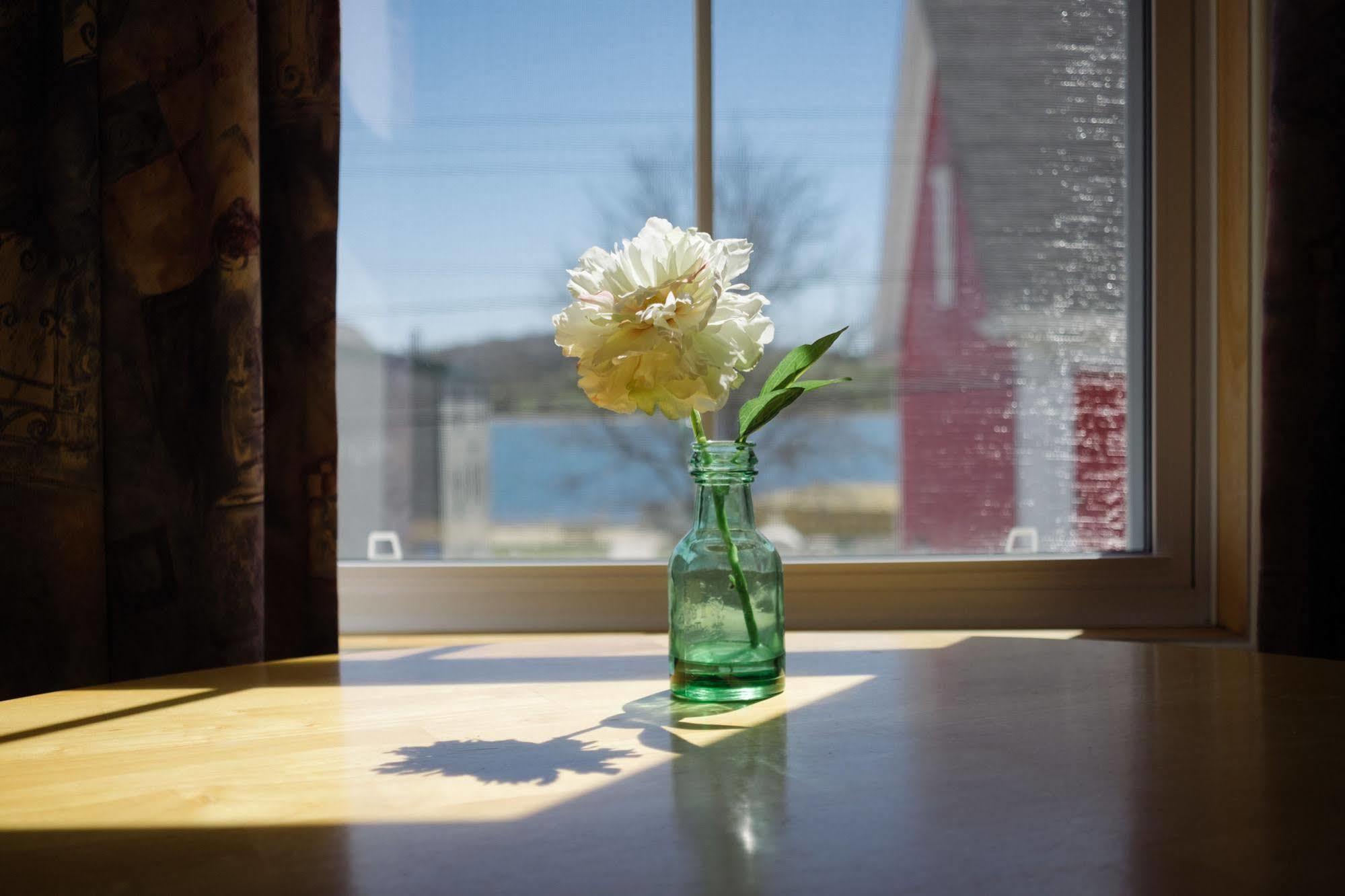 Smugglers Cove Inn Lunenburg Exteriér fotografie